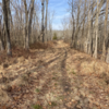 End of Quarry Trail approaching parking