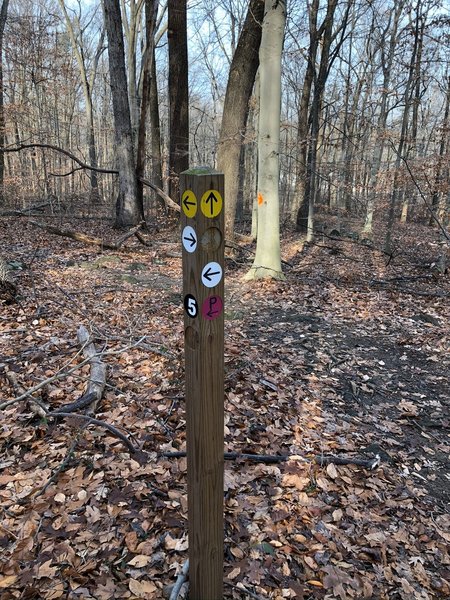 Signpost 5 in Iron Hill Park.