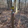 Signpost 5 in Iron Hill Park.