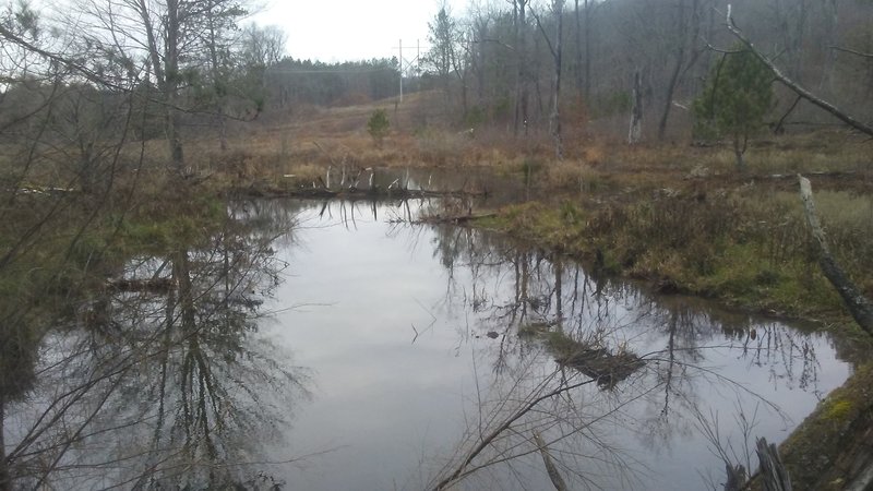 Crane Run bridge, looking up towards 443.