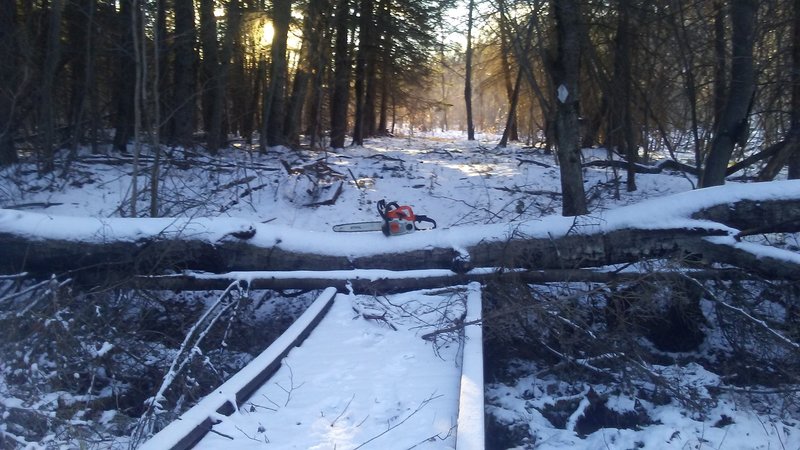 Tree down on one of the many bridges on the TLT.