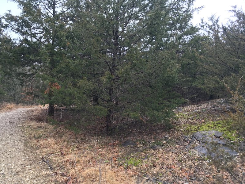 There are a lot of spots off trail to stop and relax.