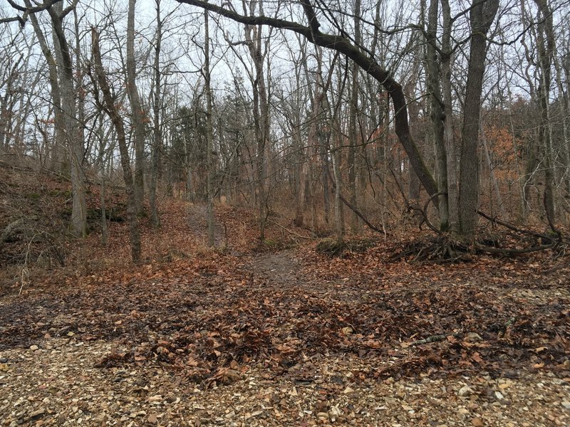 Tough terrain outside of the creek bed.