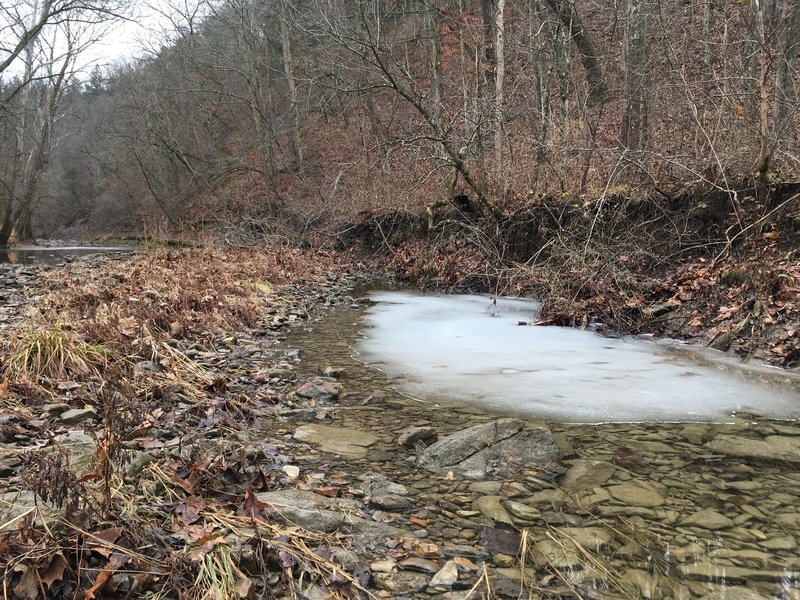 The creek is a bit icy in the winter!