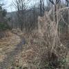 This part of the trail had a lot of creepy dead trees and fungus! It was pretty cool in December!