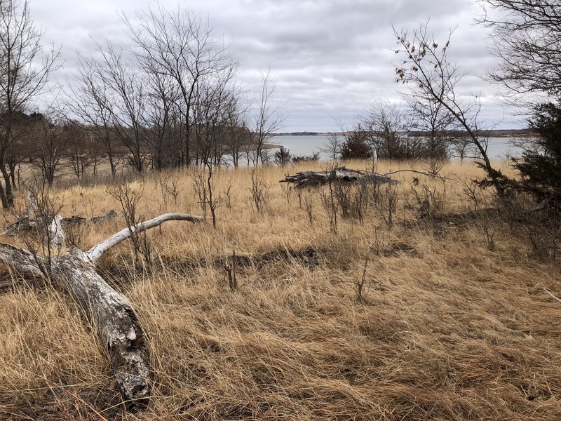 View of the lake from the trail.