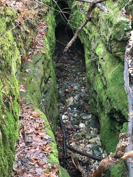 Running water in the bottoms of the gullies. Careful, they're deep!