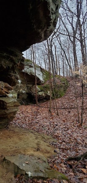 Rock overhang along Garden Rock Loop Trail.