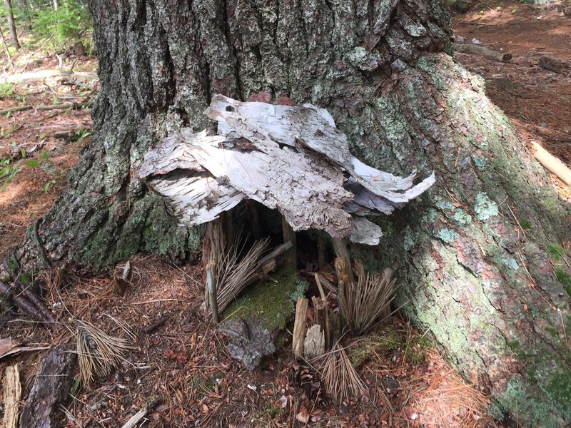 Fairy House alongside trail