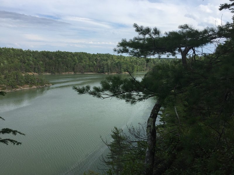 View from cliff over Long Reach.