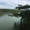 View from cliff over Long Reach.