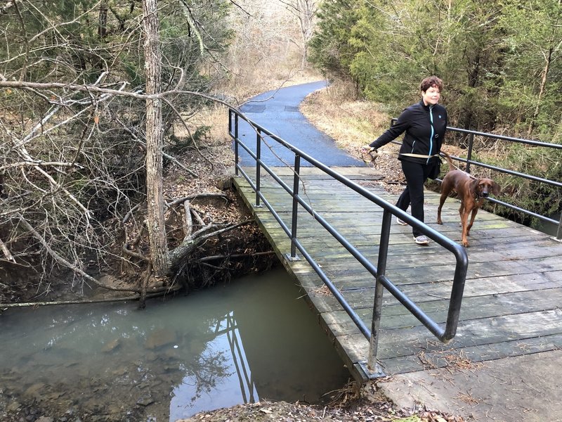 Bridge over the creek