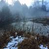 Where Wolfe Run and Coon Run meet...Twin Lakes Trail.