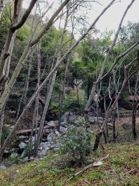 There are a few cabins along the trail.