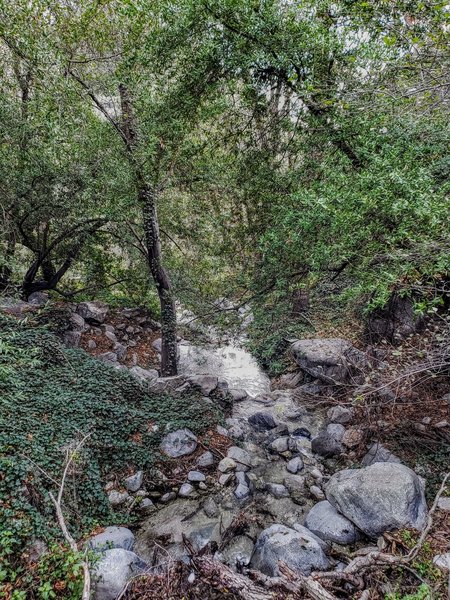 Creek crossing