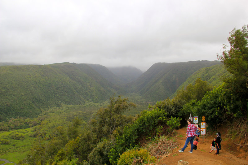 Begin of Awini Trail