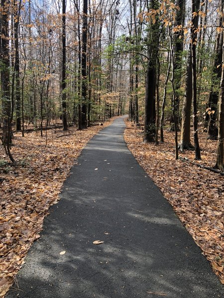 Flat paved trail