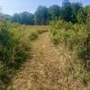 Grassy trail through the meadow