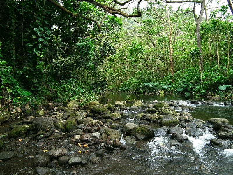 Hawaii Big Island Kona Hilo