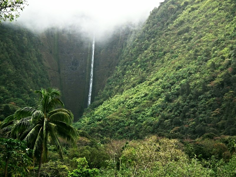 Hawaii Big Island Kona Hilo