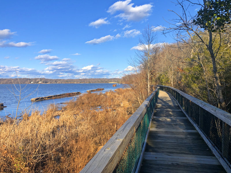 Boardwalk along the bay on the Bayview Trail