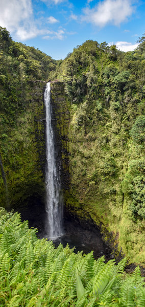 USA - Hawai'i - ʻAkaka Falls