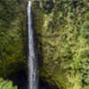 USA - Hawai'i - ʻAkaka Falls