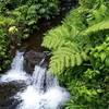 akaka falls