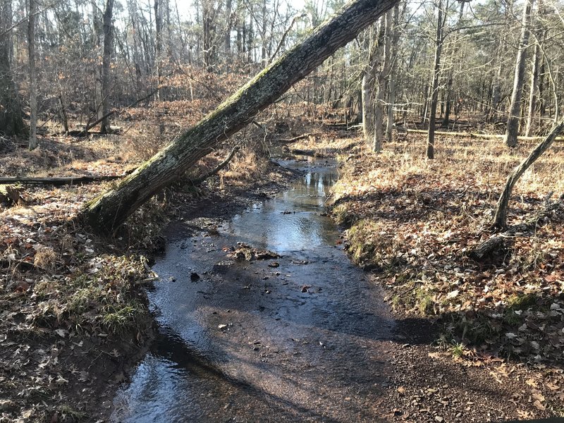 Creek crossing on Stuart's Hill Loop