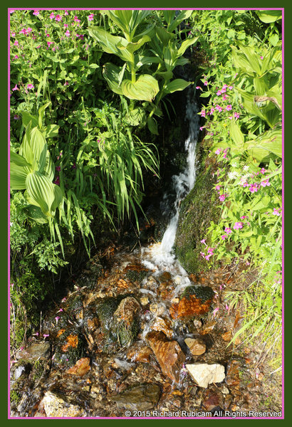 A stream draining into Sardine Gulch crosses the trail 12.5 miles from Marble Pass, which is the only perennial water source from the trail itself.