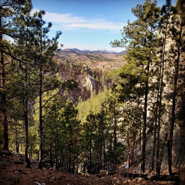 View from top of Lovers Leap trail. Custer State Park