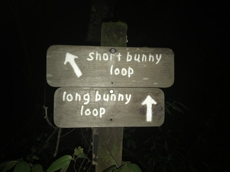 The other point where the short and long Bunny Loops meet.