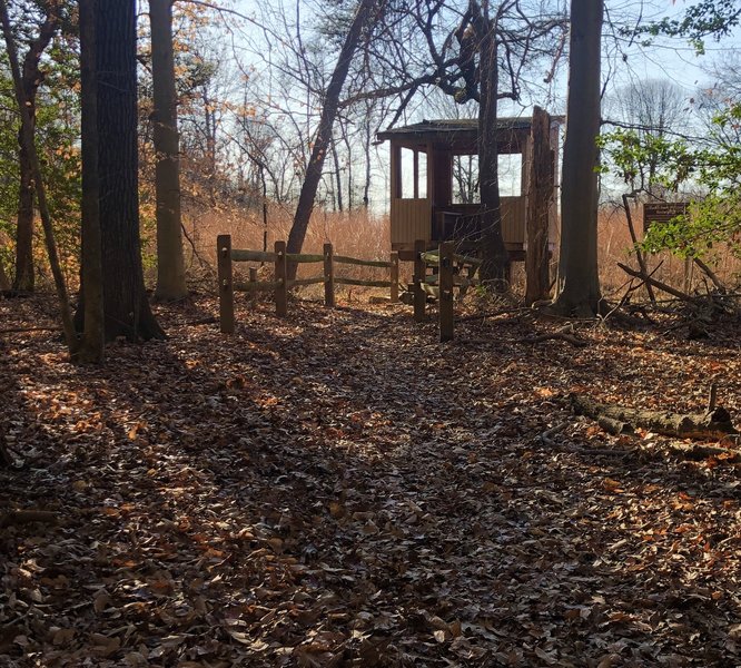 Viewing hut at the end of the trail