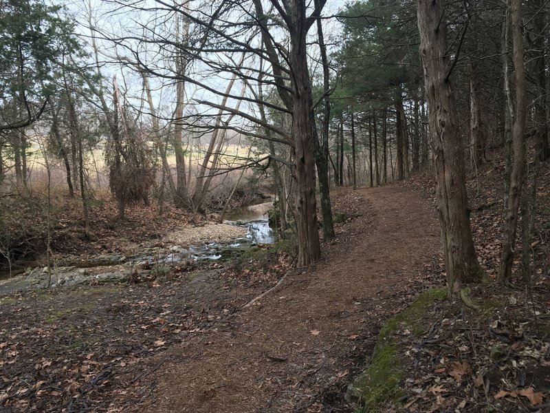 This is a nice serene section for sitting by the creek.