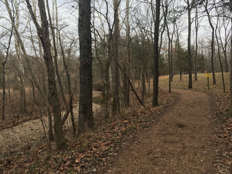 The creek to the left follows most of this trail.