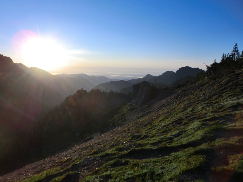 Early morning, on top of the south ridge above Marmot Pass, looking out on Hood Canal.