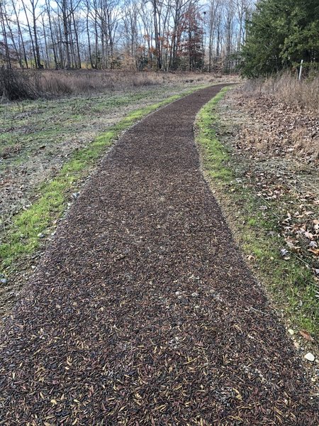 Rubberized mulch path leading to Hidden Pond (very strange trail surface)