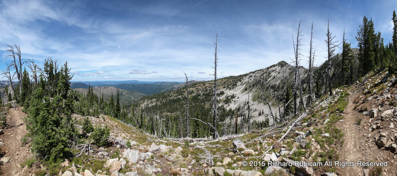 There is an old burn area that the trail passes. Location of this photo on the map is estimated.