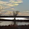 Reflection on a beaver pond