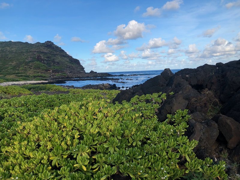 Looking back at Alan Davis Beach