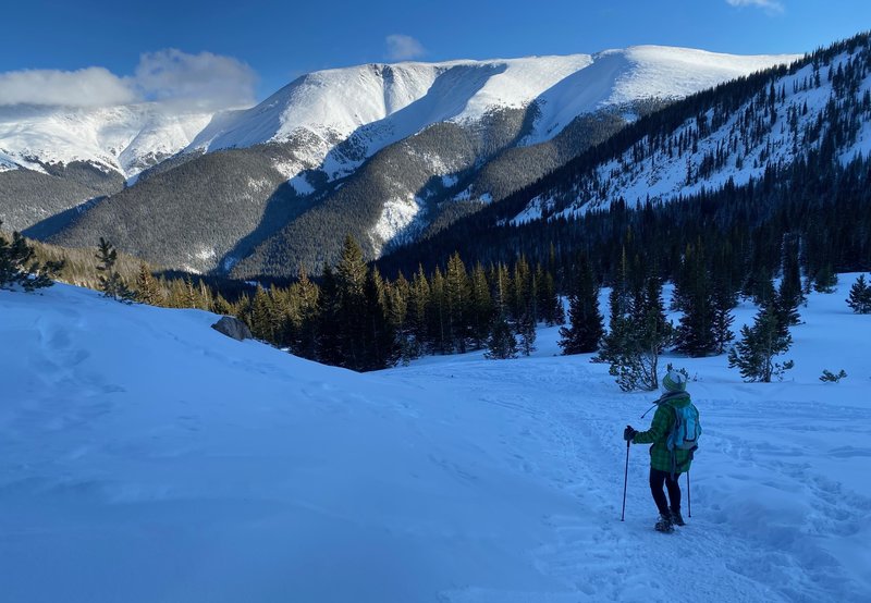 Stunning winter views