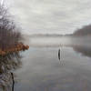 Foggy Lake Mercer on a warm, January day.