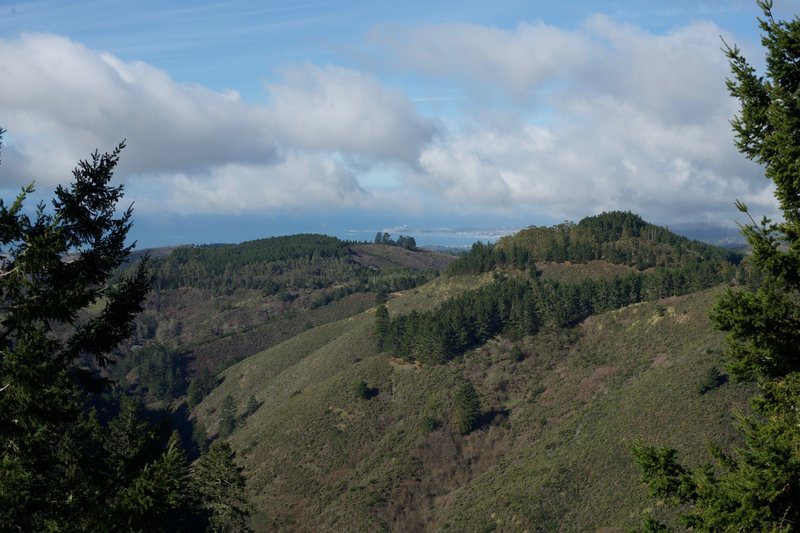 From the North Ridge Trail, you get a good view of Half Moon Bay and the Pillar Point Air Force Station.