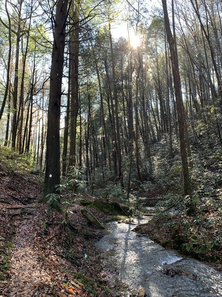 BMT thru Cherry Log, GA