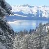 The Daggett Loop is also a great (and well used) snowshoe trail!