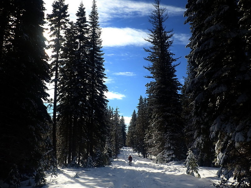 Going southwest on the Lower Canal Trail