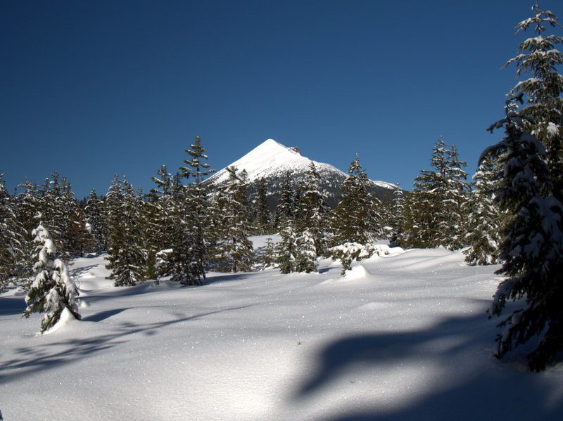 Mount McLoughlin from the Pitt View Trail