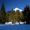 Mount McLoughlin from the Pitt View Trail