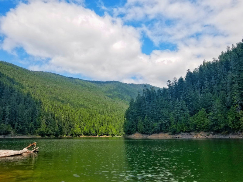 View from Log Covered Beach