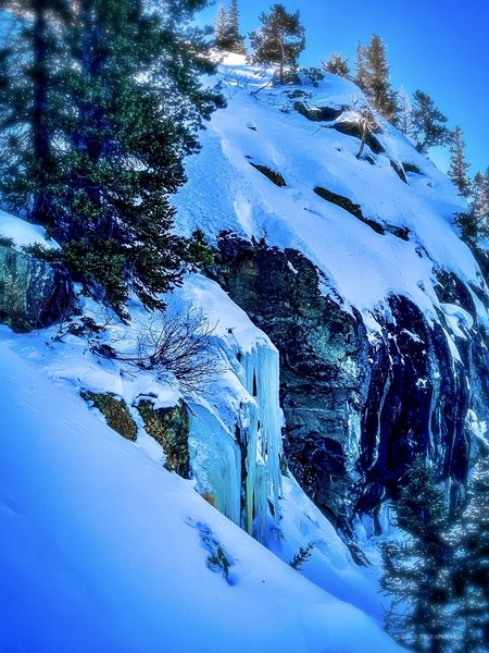 Along the Emerald Lake Trail, December 30, 2019.